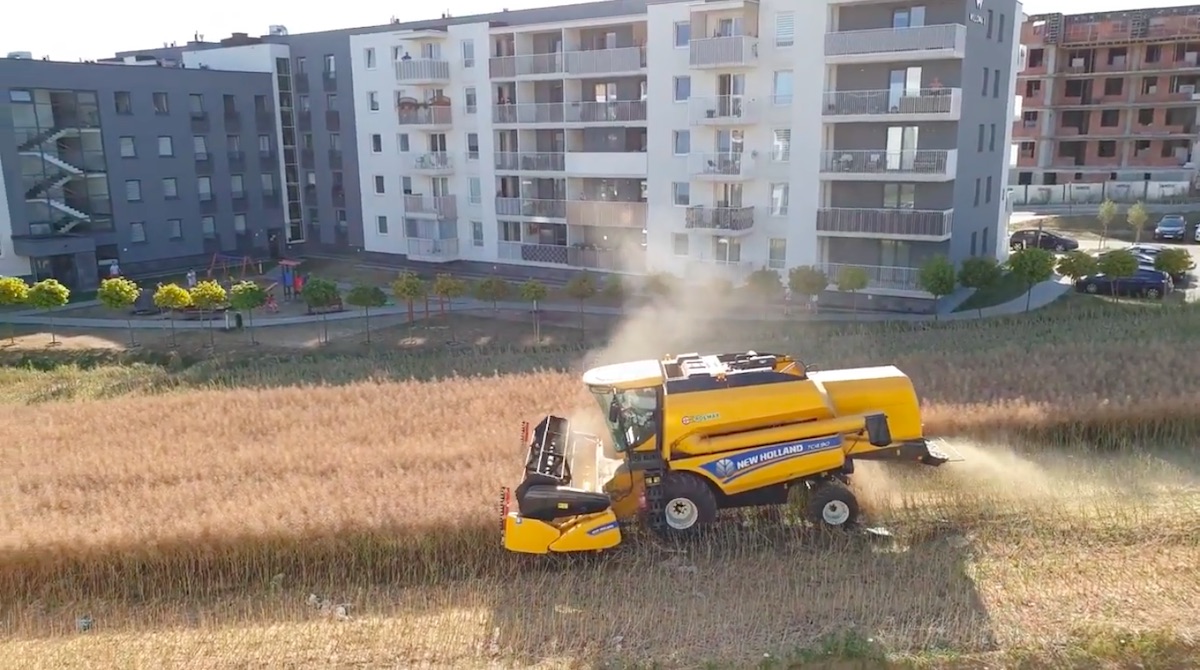 Lublin: rolnik nie sprzedał ziemi między blokami i kosi sobie elegancko pole kombajnem