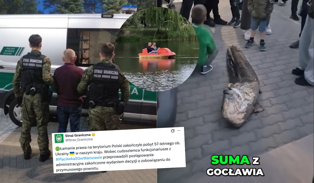Ukrainiec, który wyłowił suma z jeziorka Balaton, został deportowany