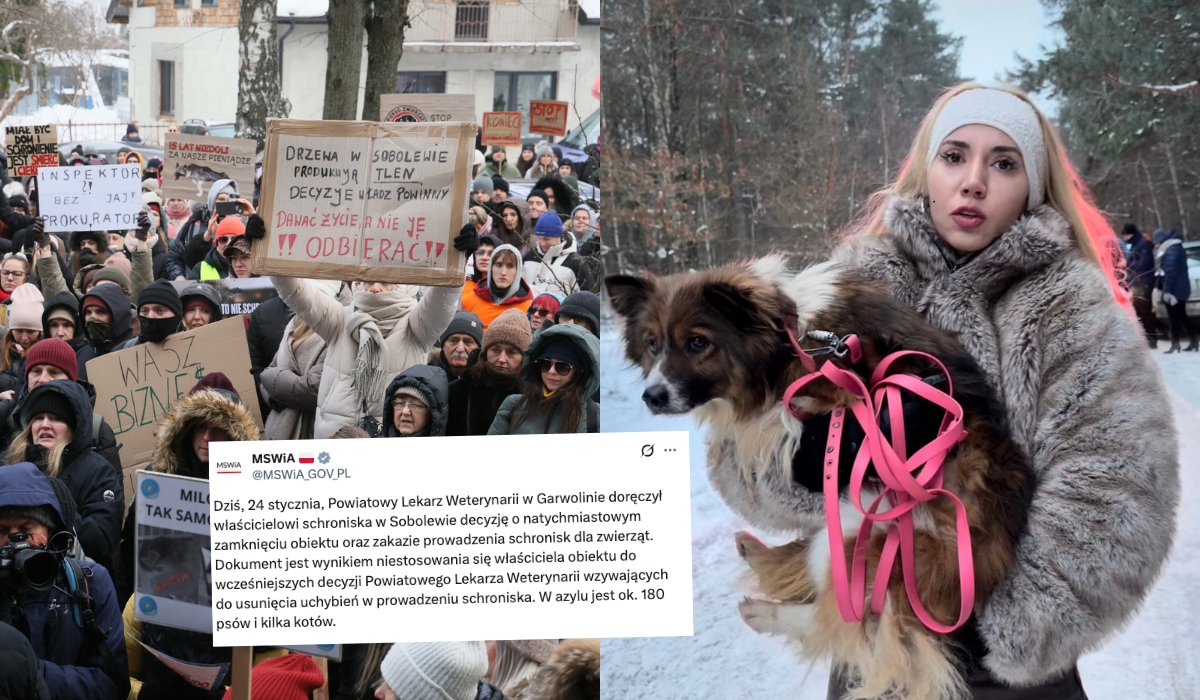 Celebryci i zainteresowanie mediów doprowadziły do zamknięcia patoschroniska w Sobolewie