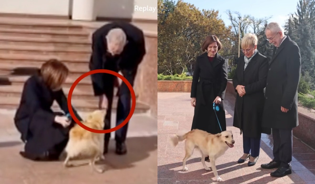 Pies prezydenta Mołdawii udziabał prezydenta Austrii