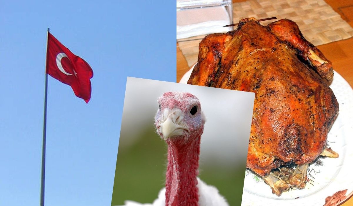 Turcja chce zmienić anglojęzyczną nazwę kraju, żeby nie kojarzyć się z indykiem
