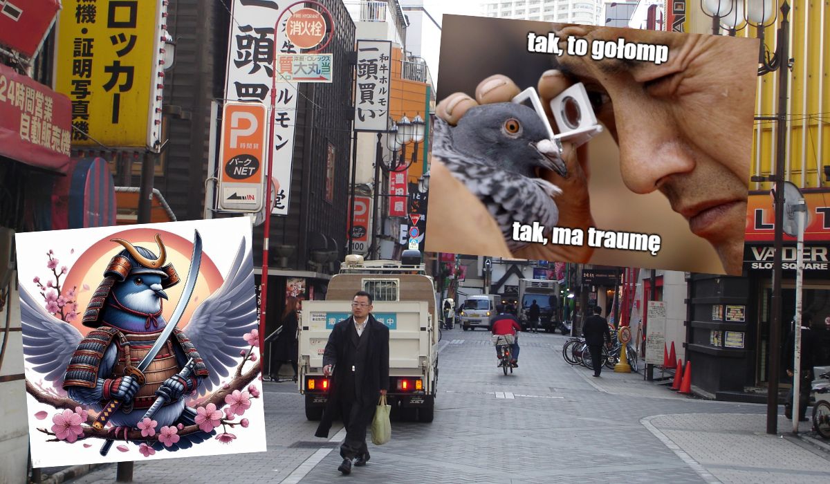 Japonia: kierowca taksówki aresztowany, jest podejrzany o przejechanie gołębia