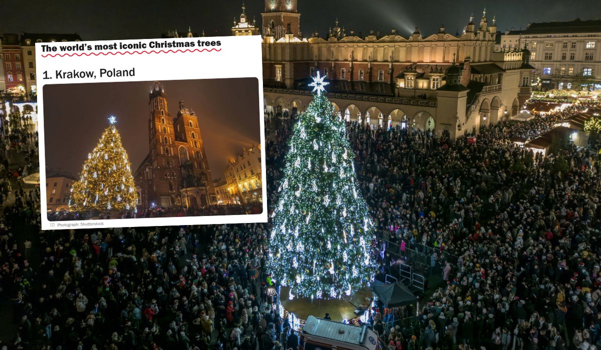 Krakowska choinka uznana za najpiękniejszą na świecie, można ją oglądać na rynku
