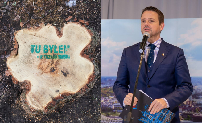 Warszawa: aktywiści znaczą wycięte drzewa Trzaskowskim