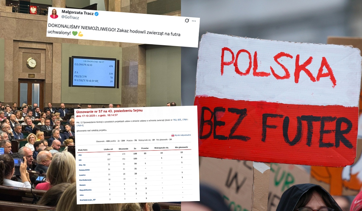 Sejm przyjął ustawę, która wprowadza zakaz hodowli zwierząt na futra