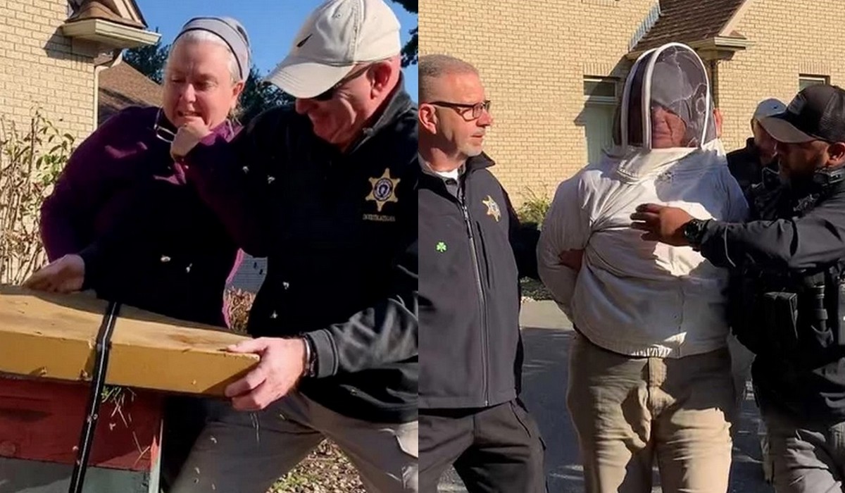 USA: kobieta, broniąc się przed eksmisją, poszczuła policjantów pszczołami i to od razu całym rojem