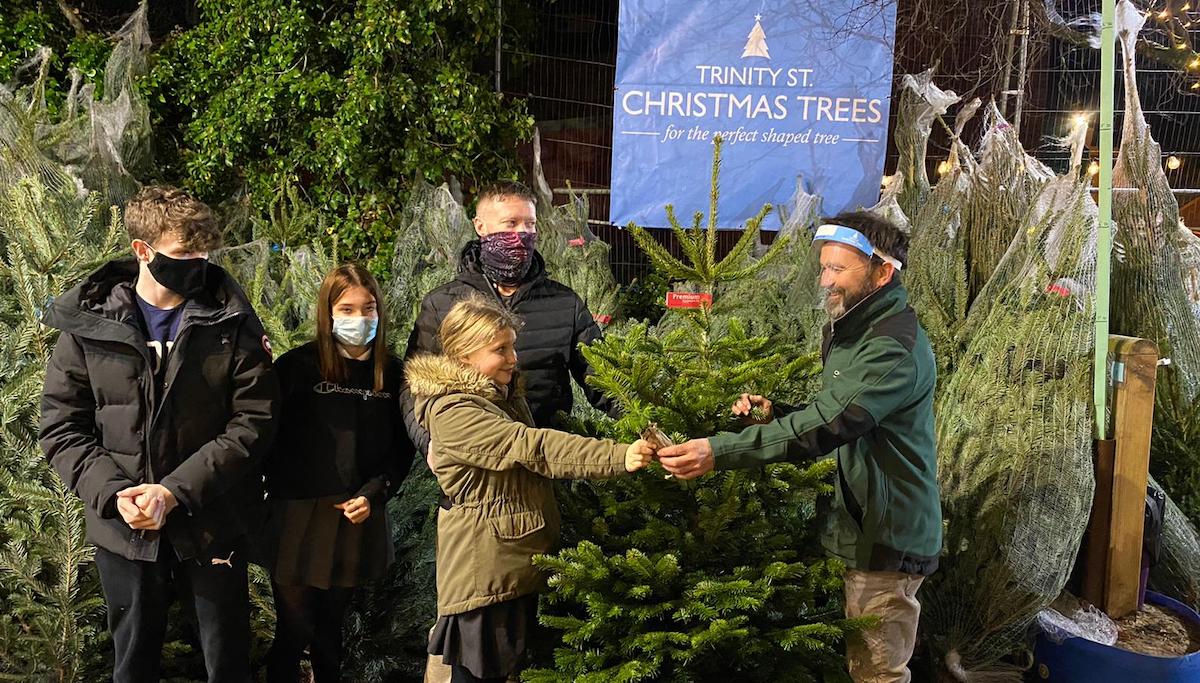 UK: epidemia czy nie, choinki wyprzedają się rekordowo