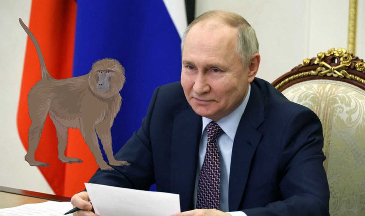 Rosja struga pawiana i udaje, że przelatująca rakieta nie należała do nich