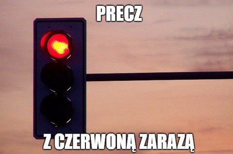 Poseł z K'15 walczy o możliwość przechodzenia na czerwonym świetle