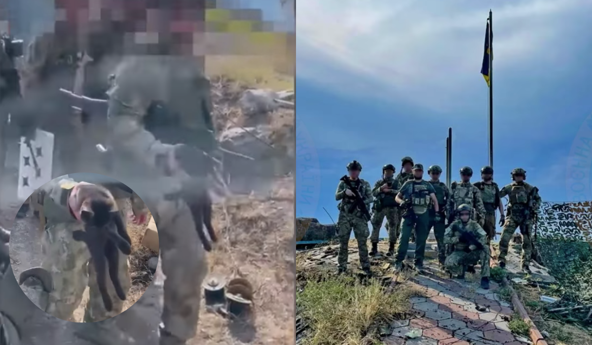 Ukraińscy żołnierze na odbitej Wyspie Węży znaleźli kitku, które żyło tam pod okupacją miesiącami