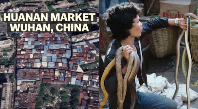 Vox zrobił 8-minutowy dokument, skąd się wziął wirus i dlaczego w Wuhan