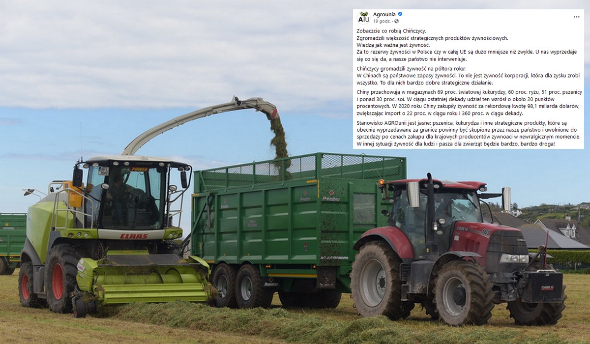 Chiny skupują zboża na potęgę, nawet 50% z rynków. Agrounia: a u nas wyprzedaje się co się da