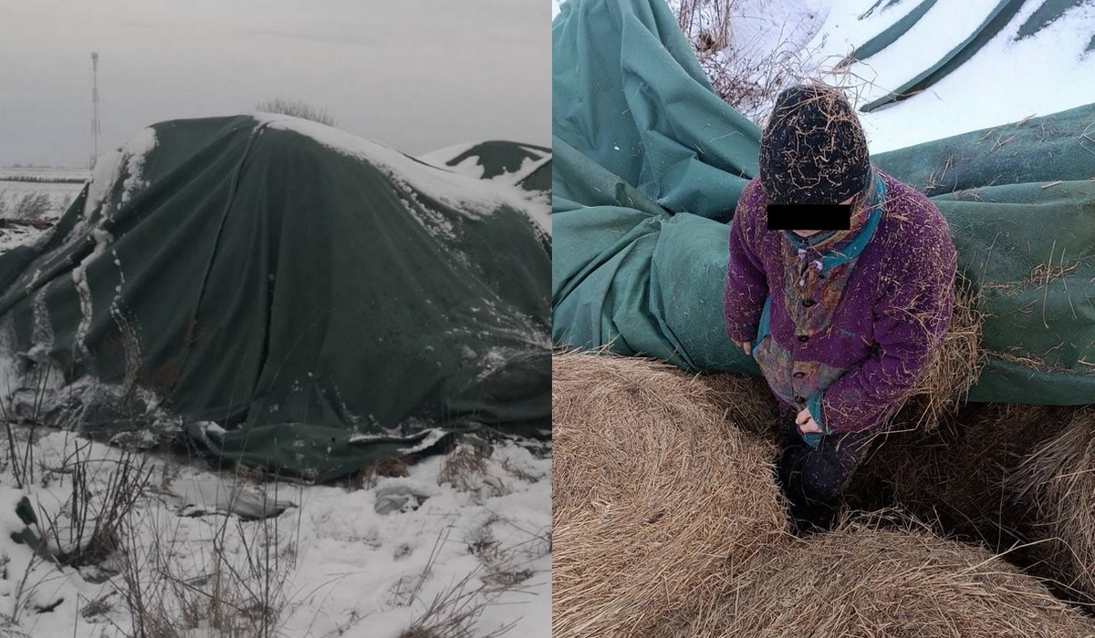 Lubelskie: chłop ukrył się przed policją w stogu siana, niestety jego kamuflaż został wykryty