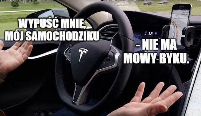 Awaria aplikacji Tesli w USA. Kierowcy zostali uwięzieni w samochodach