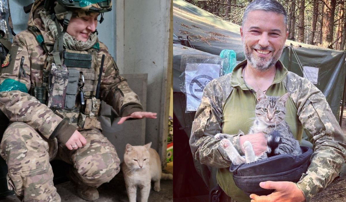 Rosjanie cierpią w okopach przez plagę szczurów i myszy, Ukraińców bronią koty