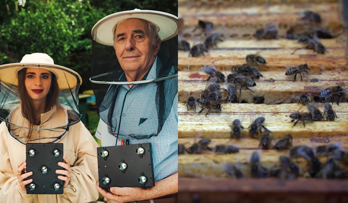 Licealistka i jej dziadek wspólnie opracowali sposób na pomaganie pszczołom