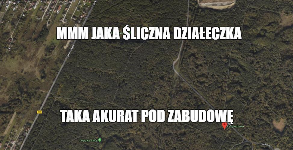 Drzewa się wytnie, staw zabetonuje, postawi osiedle, będzie fajnie