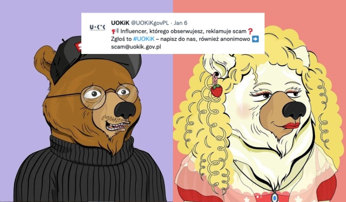 UOKiK zbada cwaniaczków od misiów, NFT i w ogóle co tu jest grane