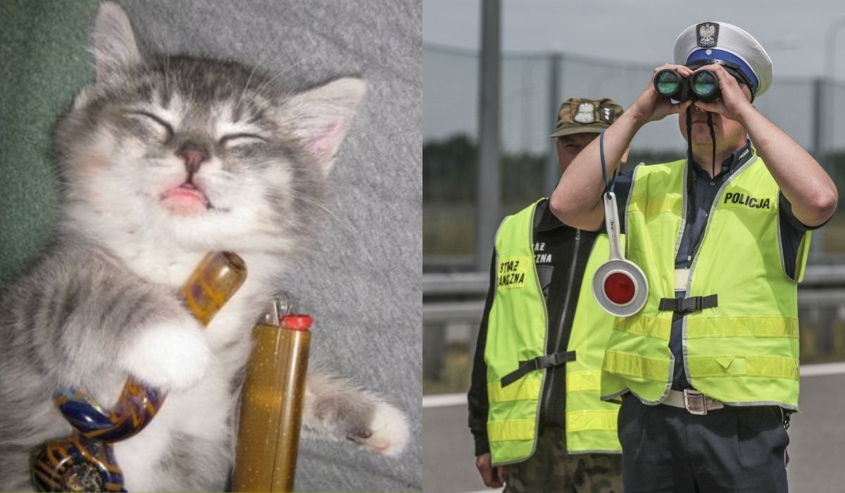 Bydgoski hattrick: nafurana kokainą dziewczyna poprosiła o fifkę policjantów w nieoznakowanym radiowozie