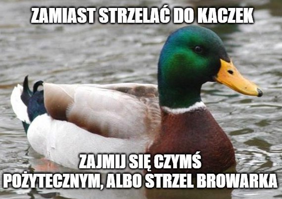 Zaczął się sezon na dzikie ptactwo dla myśliwych, chociaż nie ma właściwie powodu do odstrzału