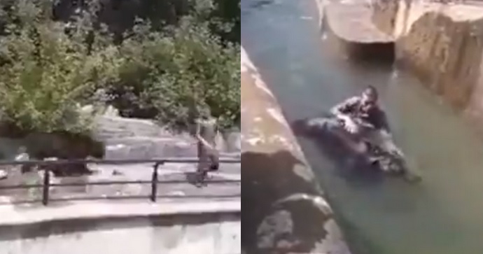 Warszawa: mężczyzna pod wpływem alkoholu zaatakował niedźwiedzia