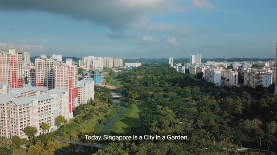 Singapur, chociaż już jest miastem-ogrodem, planuje dosadzić sobie milion drzew