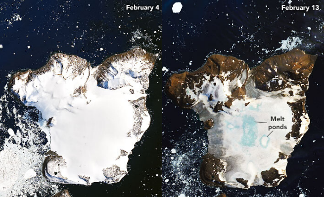 Antarktyda: kolejny rekord, najcieplejszy dzień w historii i tempo topnienia śniegu