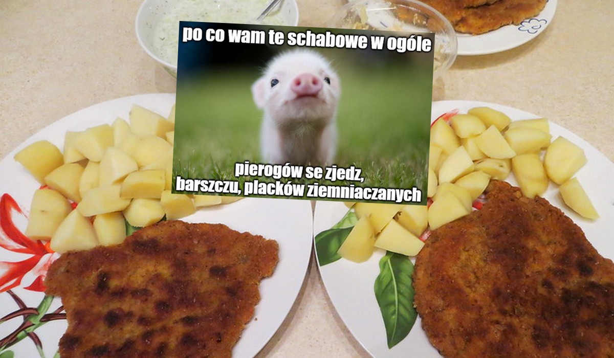 Sytuacja na rynku świń jest tak zła, że wieprzowina nie tylko drożeje, ale też często jest sprowadzana z Niemiec