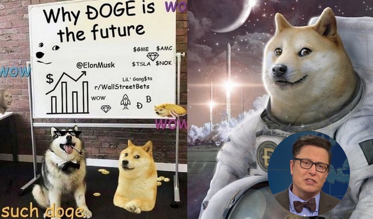 Elon Musk wysyła na Księżyc satelitę sfinansowaną za Dogecoiny - DOGE-1