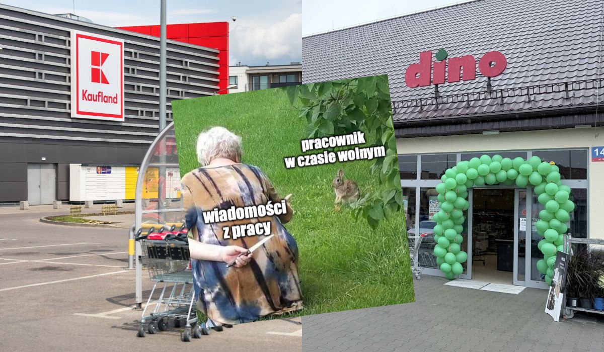 Pracownicy Dino i Kauflandu, alarmują, że są dojeżdżani przez przełożonych na chatach i grupach na WhatsAppie