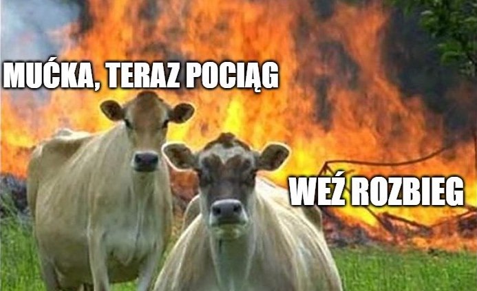 Stara Łubianka: "pociąg IC uderzył w krowę, po czym wykoleił się" 