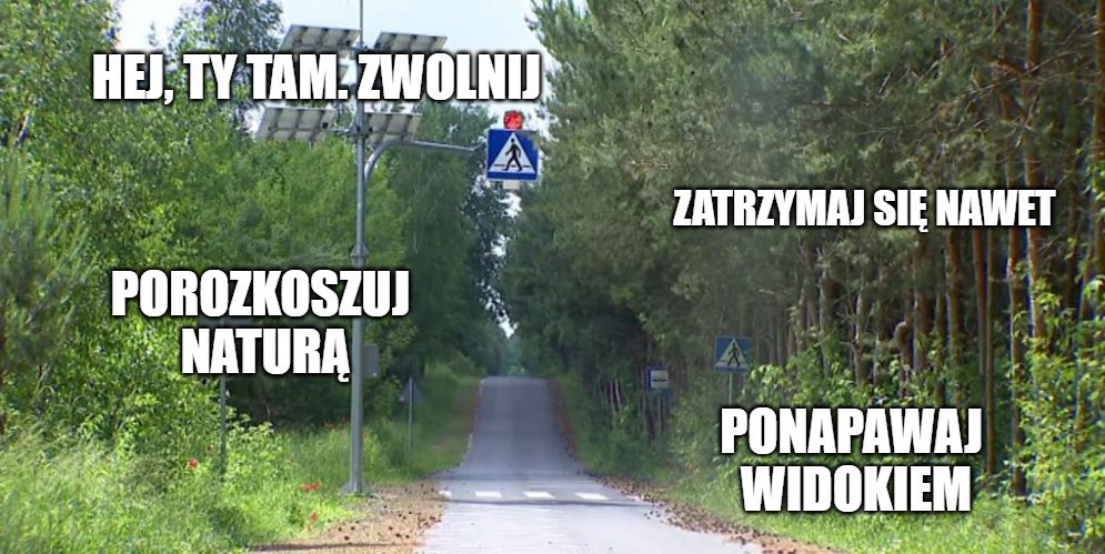 W gminie pod Lublinem powstało przejście dla pieszych między polem a lasem