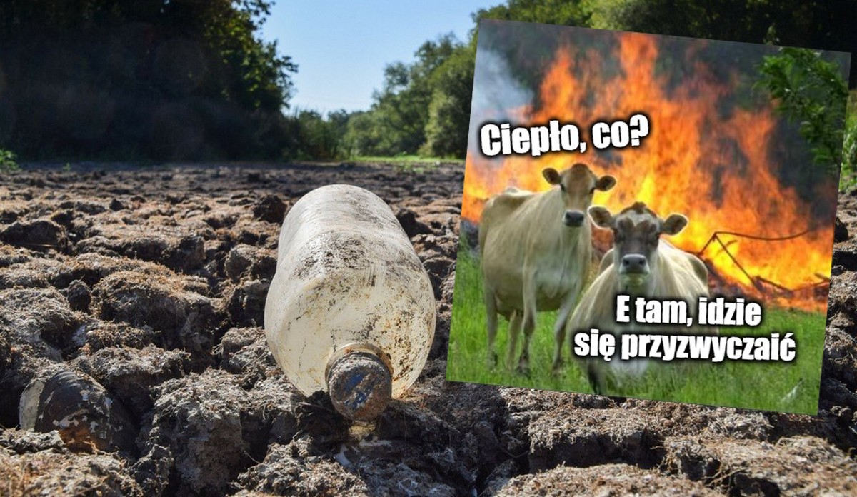 Rok 2024 był najcieplejszym w historii pomiarów, pierwszy raz przekroczyliśmy próg 1,5°C ocieplenia