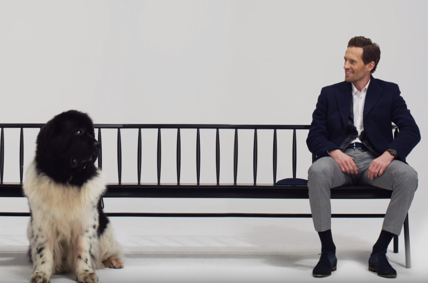 Próchnik zbankrutował. "Przyczyną zwrot firmy ku patriotyzmowi"