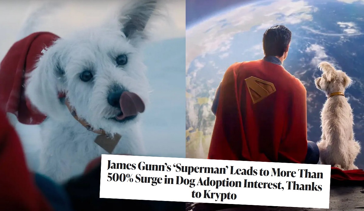 Premiera Supermana zdaje się podnosić zainteresowanie adopcją psów