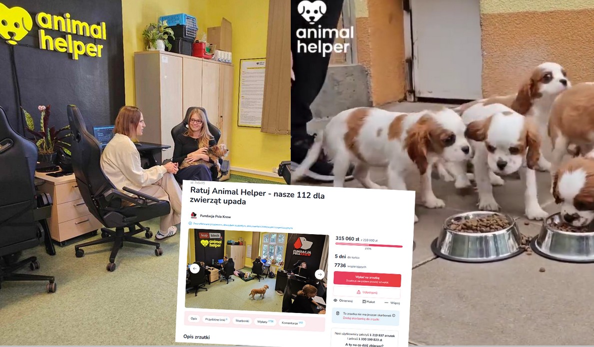 Zbiórka na aplikację ratunkową dla zwierząt się udała i to tak na 150%