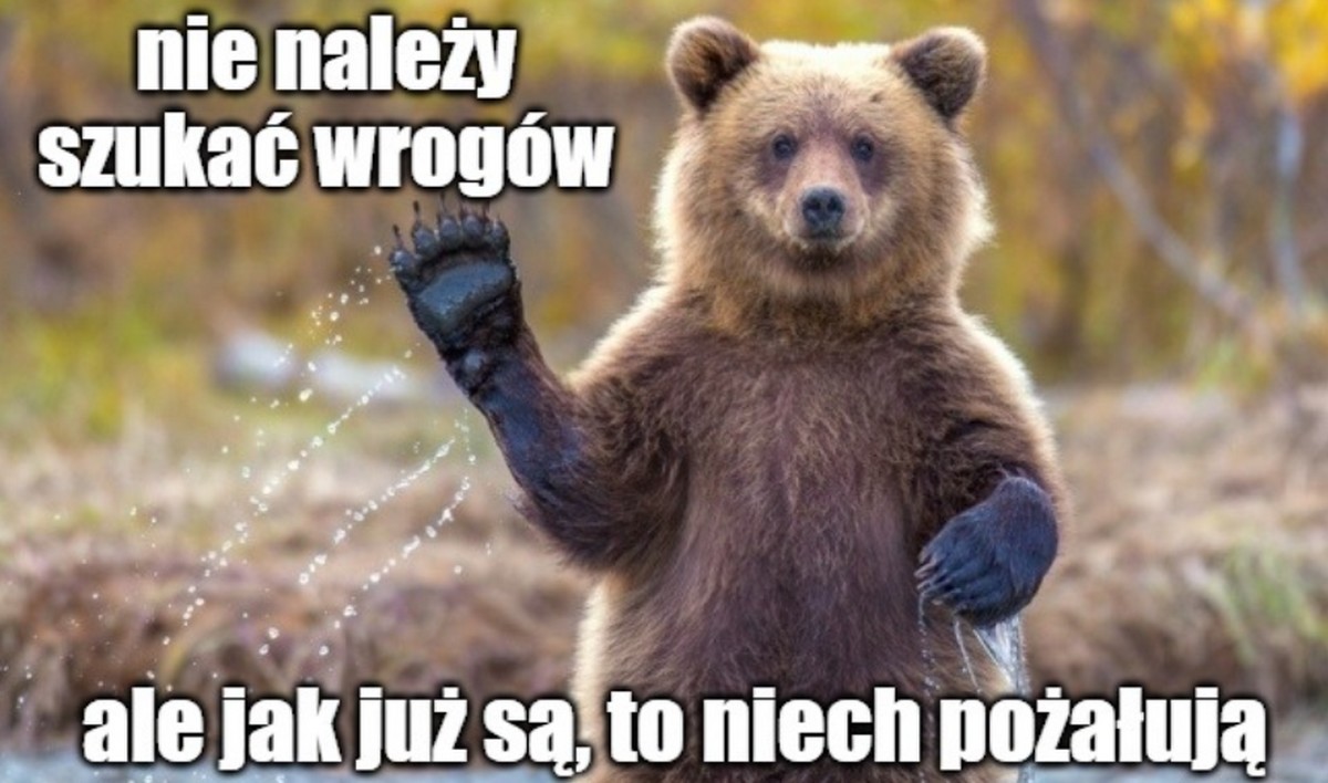 Nietypowy wypadek w USA: niedźwiedź upolowany na drzewie spadł i przygniótł myśliwego na amen