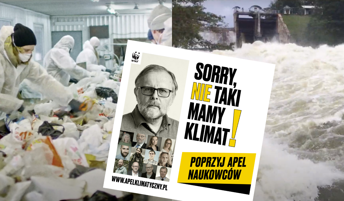 Naukowcy proszą, żebyśmy przestali popełniać klimatycznego samob*ja, apelują do polityków, przedsiębiorców i konsumentów