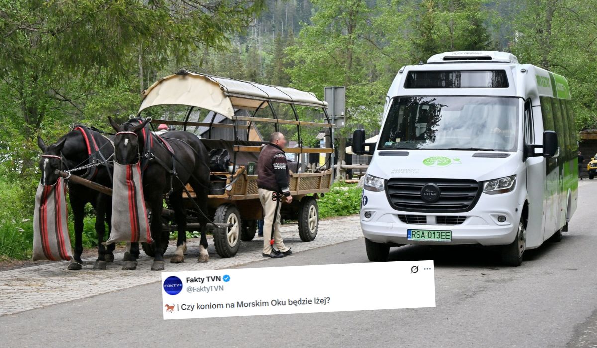TPN zdecydował, że górale muszą przestać męczyć konie na najcięższym odcinku trasy do Morskiego Oka