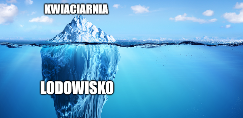 Lodowisko w Szczecinie udaje kwiaciarnię, żeby obejść obostrzenia ¯\_(ツ)_/¯