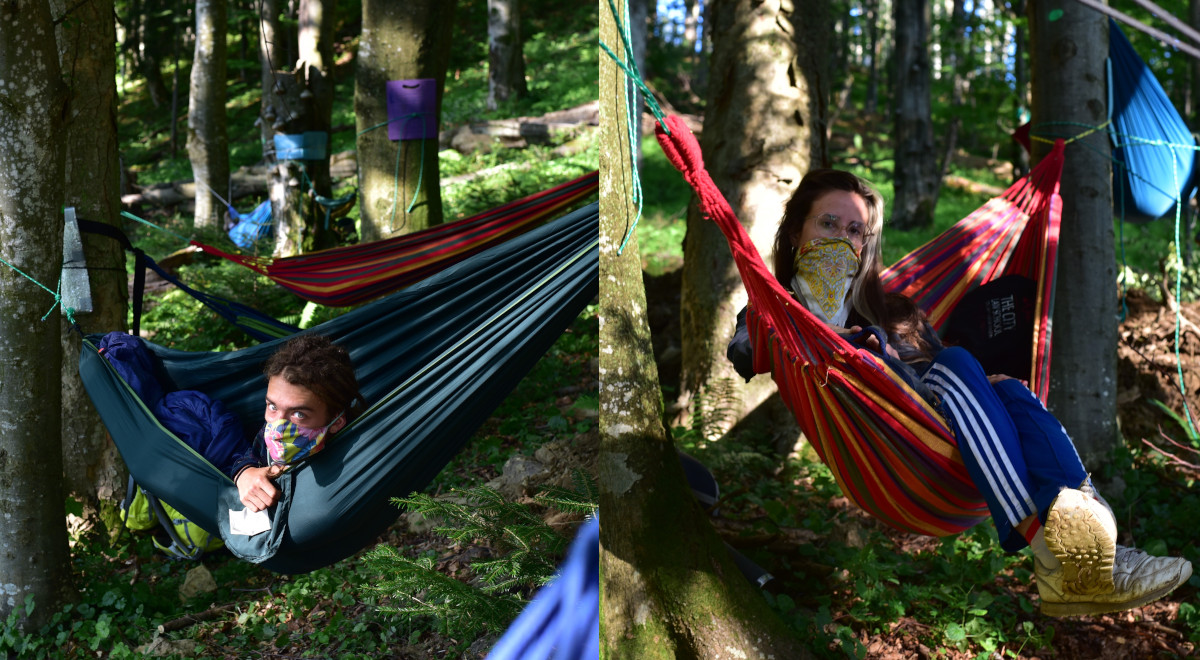 Aktywiści w Bieszczadach protestują przeciwko wycince puszczy, która nabrała podejrzanego tempa