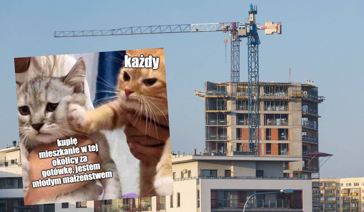 Kanada wprowadziła podatek od flipów, bo nikt ich nie lubi i szkodzą rynkowi