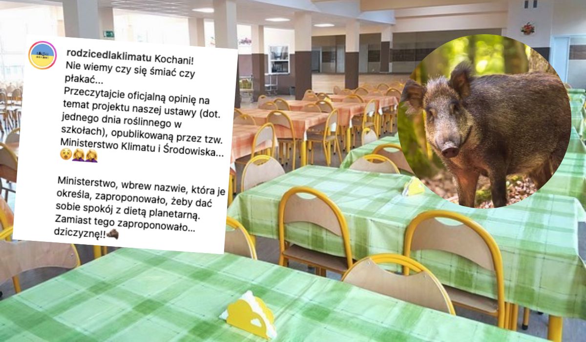 Aktywiści prosili o wege posiłki w szkołach, ministerstwo odpowiedziało, że może lepiej wprowadzić dziczyznę