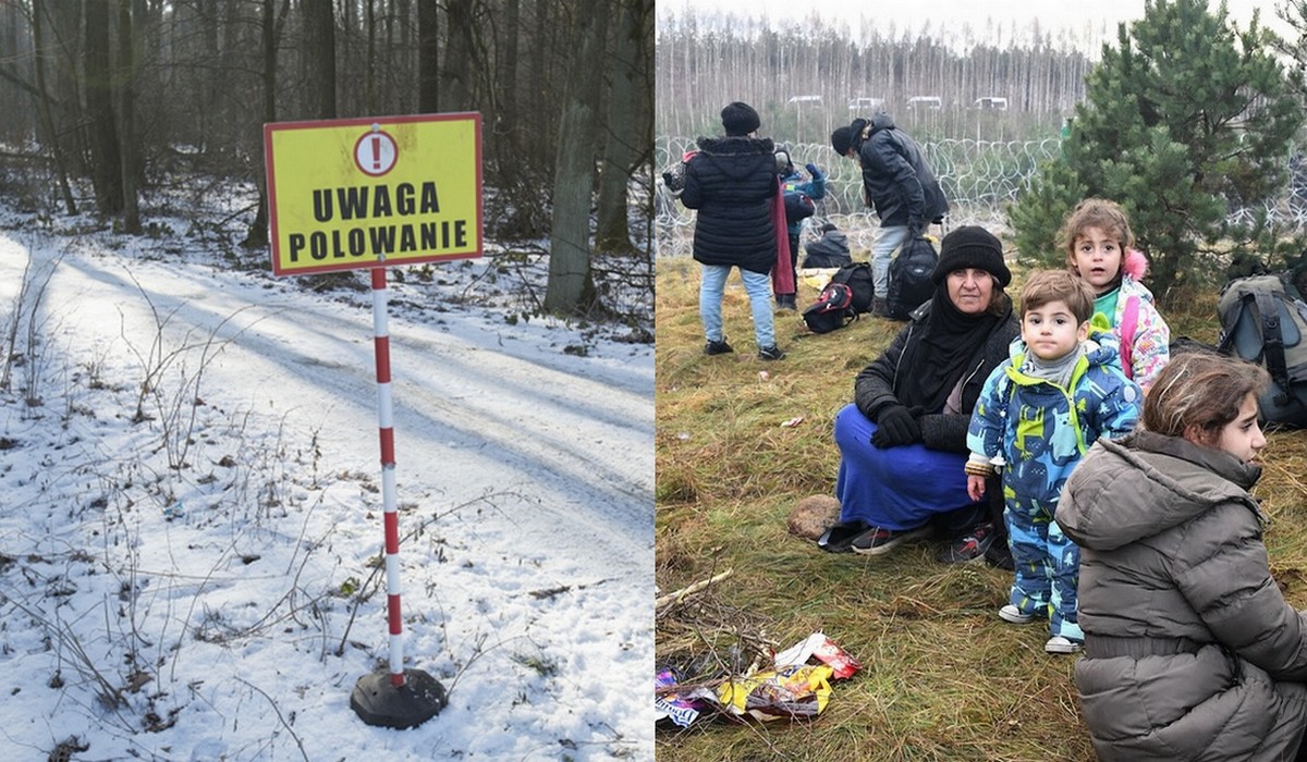 W przygranicznych lasach zaplanowano polowania, mogą zagrażać migrantom