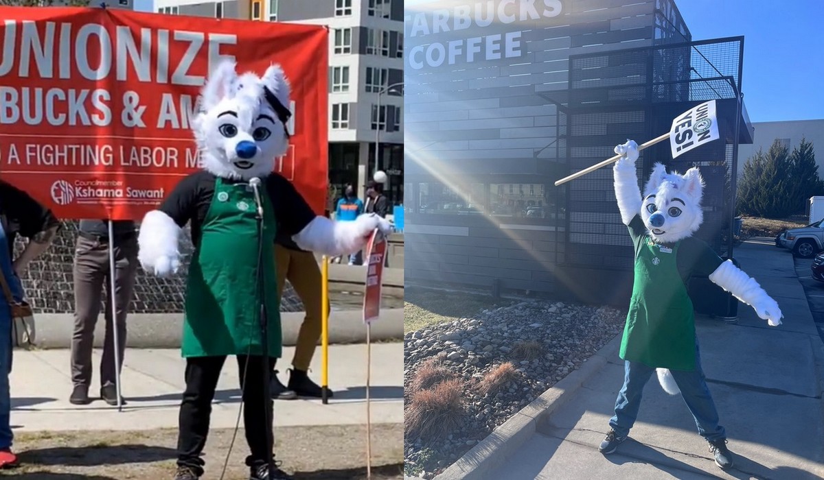 Były pracownik Starbucksa, który protestuje w przebraniu maskotki, stał się twarzą walki o prawa pracownicze w sieciówce