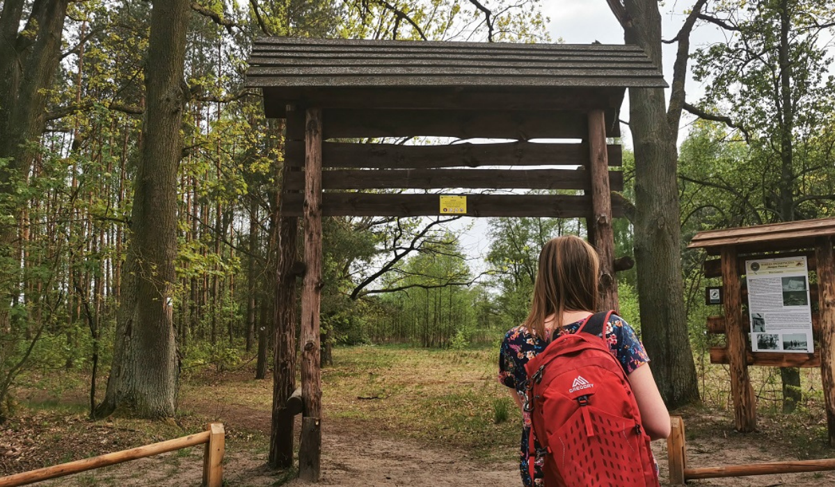 Greenpeace: od 20 lat w Polsce nie powstał żaden nowy park narodowy