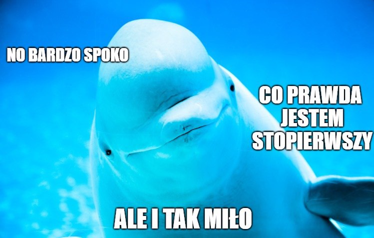 Rosja uwolni 100 białuch arktycznych i orek, bo Leonadro DiCaprio bardzo prosił