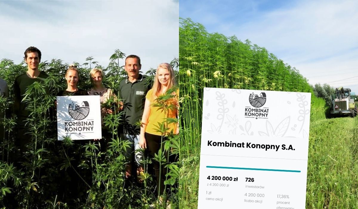 Kombinat Konopny w niecałą godzinę zebrał ponad 4 mln zł w kampanii crowdinvestingowej