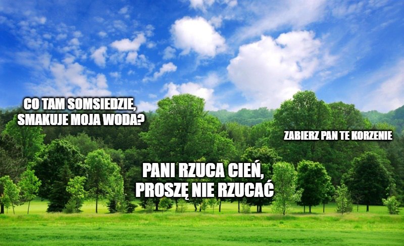Francuskie organizacje ekologiczne przyjęły "Deklarację Praw Drzewa"