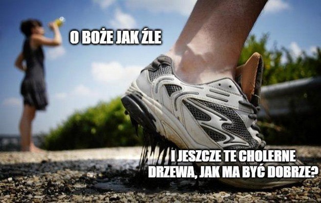 Drzewa przy drogach wycinać, żeby asfalt się nagrzewał i sam się naprawiał - postuluje radny PSL